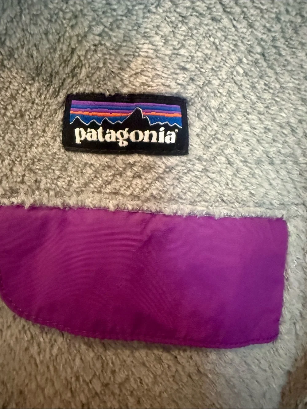 Patagonia Kids Light Gray Fleece Pullover with Purple Accents